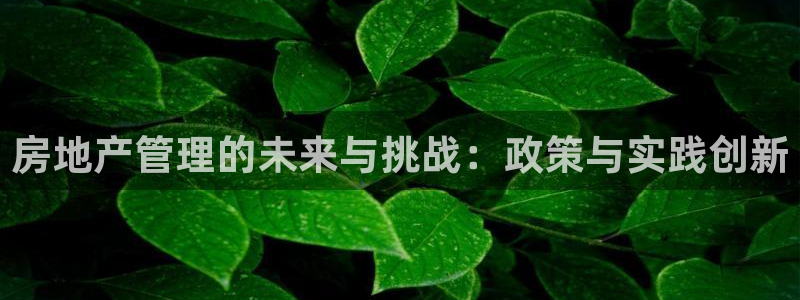 股票5G宝新：房地产管理的未来与挑战：政策与实践创新