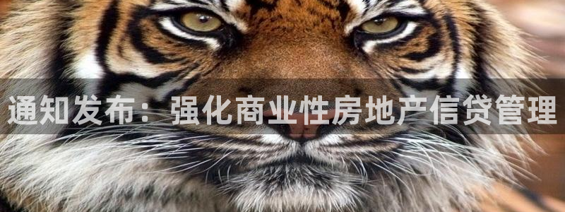 新宝骏rc5W：通知发布：强化商业性房地产信贷管理