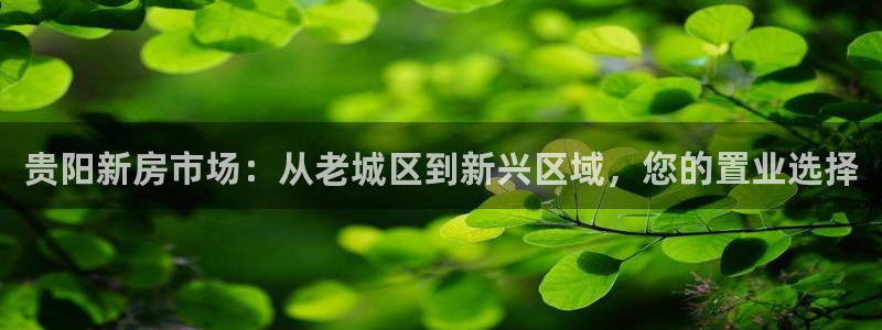 新宝5五：贵阳新房市场：从老城区到新兴区域，您的置业选择