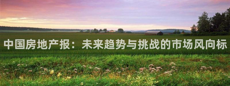 新宝5手机版登录：中国房地产报：未来趋势与挑战的市场风向标