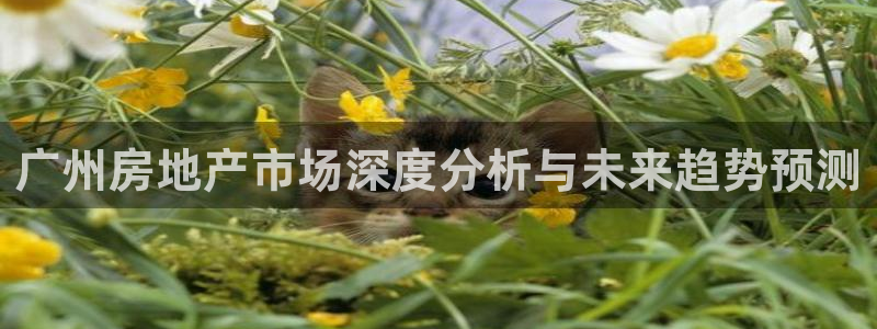 新宝5官方下载地址：广州房地产市场深度分析与未来趋势预测