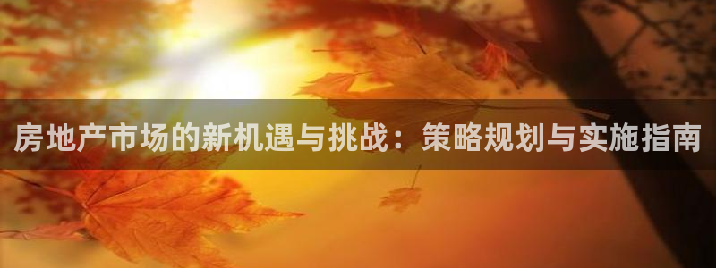 下载新宝5：房地产市场的新机遇与挑战：策略规划与实施指南