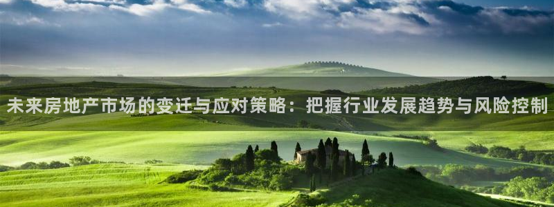 下载新宝5：未来房地产市场的变迁与应对策略：把握行业发展趋势