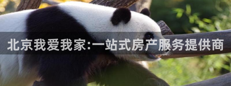 新宝5娱乐方：北京我爱我家:一站式房产服务提供商