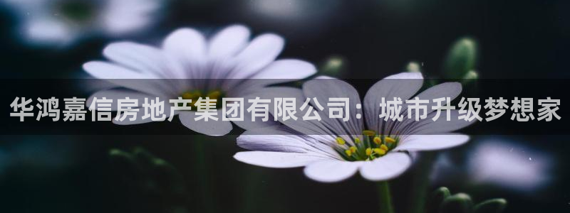 新宝5怎么下载到桌面：华鸿嘉信房地产集团有限公司：城市升级梦