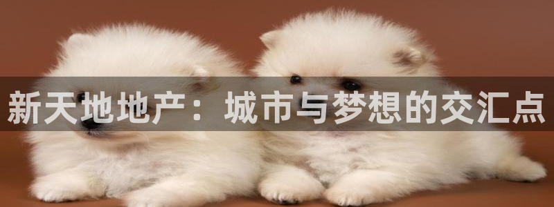 新宝5下载 迅雷下载：新天地地产：城市与梦想的交汇点