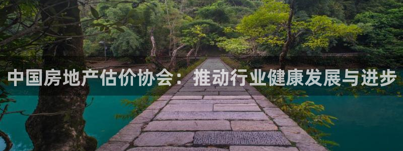 新宝5培训：中国房地产估价协会：推动行业健康发展与进步