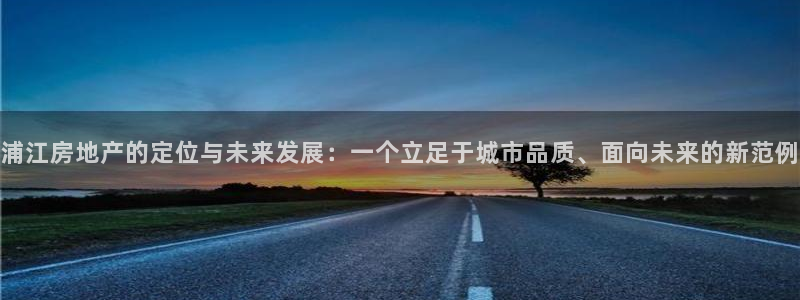 新宝5得74OOO5：浦江房地产的定位与未来发展：一个立足于