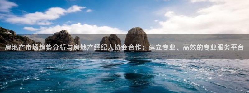 新宝5地址：房地产市场趋势分析与房地产经纪人协会合作：建立专