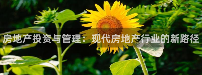 新宝5-测速：房地产投资与管理：现代房地产行业的新路径