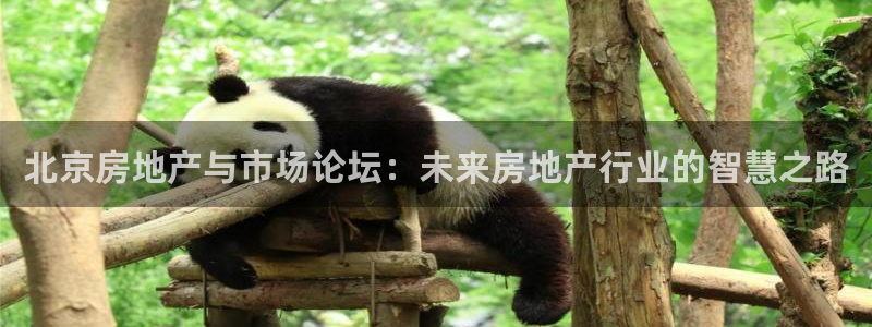 新宝5娱乐如：北京房地产与市场论坛：未来房地产行业的智慧之路