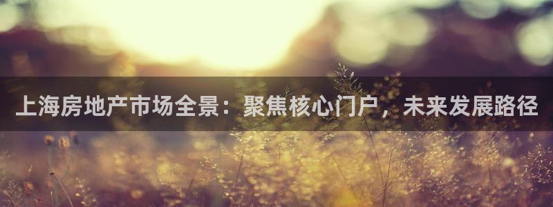 新宝5湫333 00：上海房地产市场全景：聚焦核心门户，未来