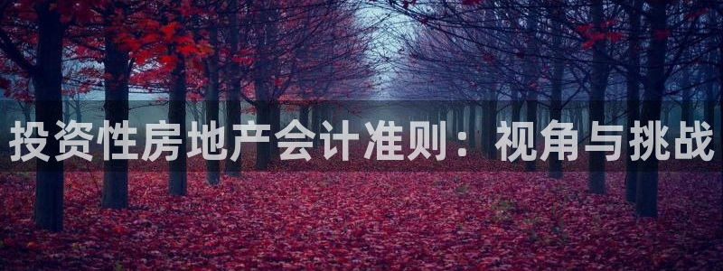 新宝5官网：投资性房地产会计准则：视角与挑战