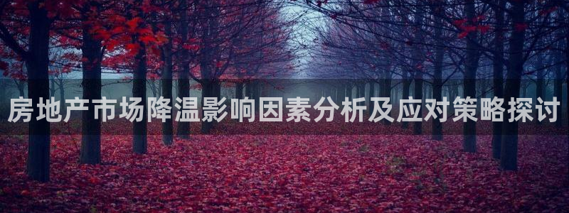 新宝5登陆地址：房地产市场降温影响因素分析及应对策略探讨