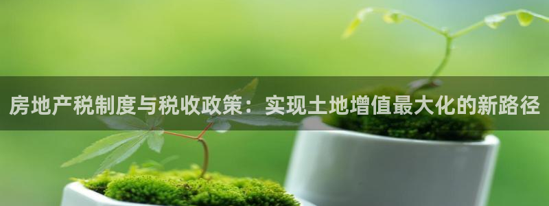 新宝5如何注册：房地产税制度与税收政策：实现土地增值最大化的