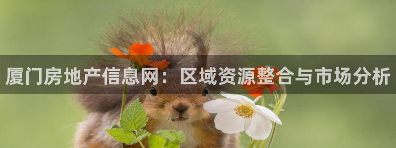 新宝5登录注册：厦门房地产信息网：区域资源整合与市场分析