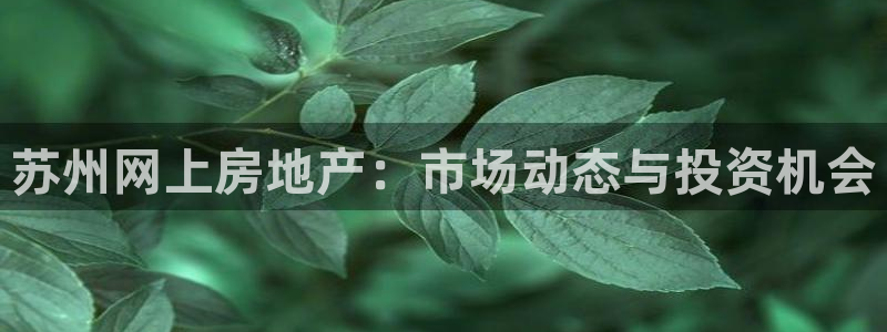 新宝5褚32OO59：苏州网上房地产：市场动态与投资机会