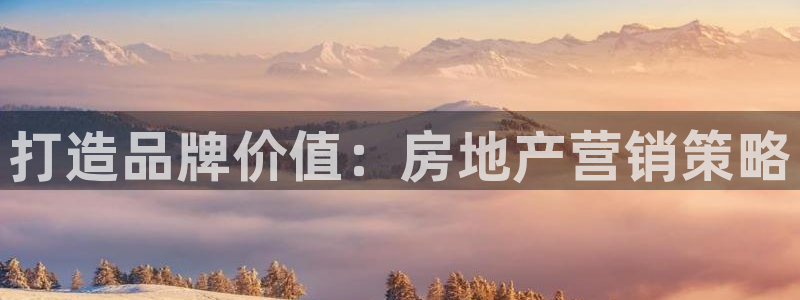 新宝5褚32OO59：打造品牌价值：房地产营销策略