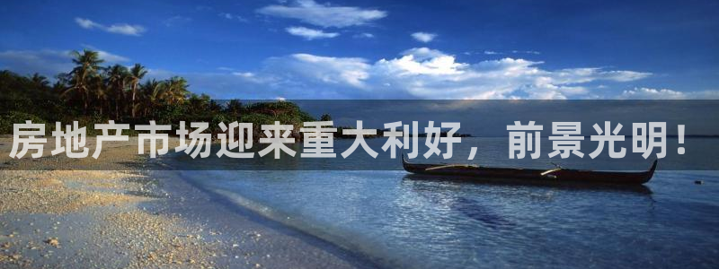 新宝5官方：房地产市场迎来重大利好，前景光明！