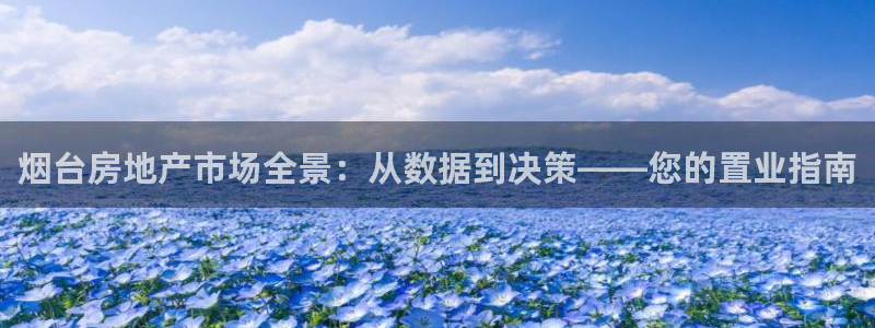 新宝5是什么样子的：烟台房地产市场全景：从数据到决策——您的