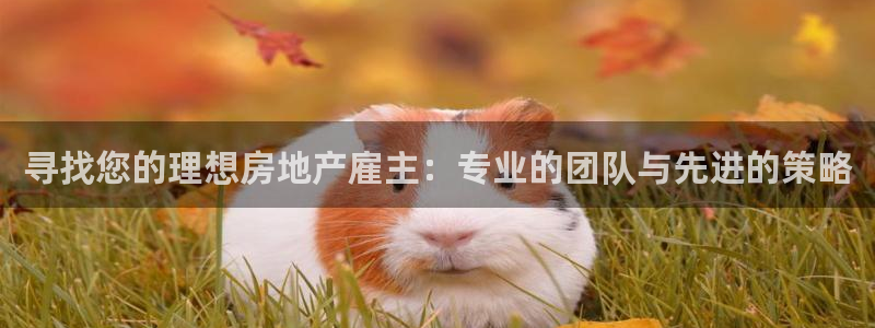 新宝股东瞧听2 5 5：寻找您的理想房地产雇主：专业的团队与