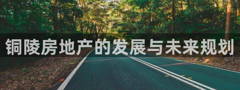 新宝6霸哥5：铜陵房地产的发展与未来规划