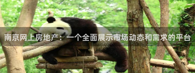 新宝5官网：南京网上房地产：一个全面展示市场动态和需求的平台