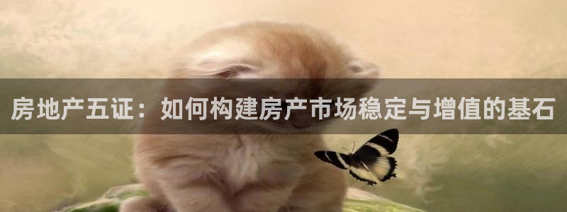 新宝5平台登陆：房地产五证：如何构建房产市场稳定与增值的基石