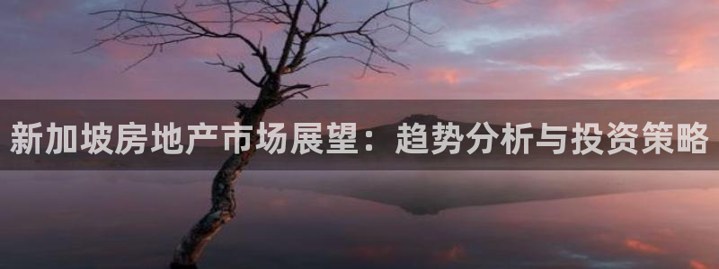 新宝5得74OOO5：新加坡房地产市场展望：趋势分析与投资策