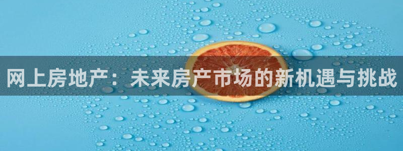 新宝5官网平台：网上房地产：未来房产市场的新机遇与挑战