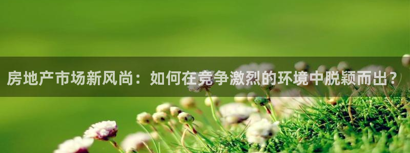 新宝5招商部：房地产市场新风尚：如何在竞争激烈的环境中脱颖而