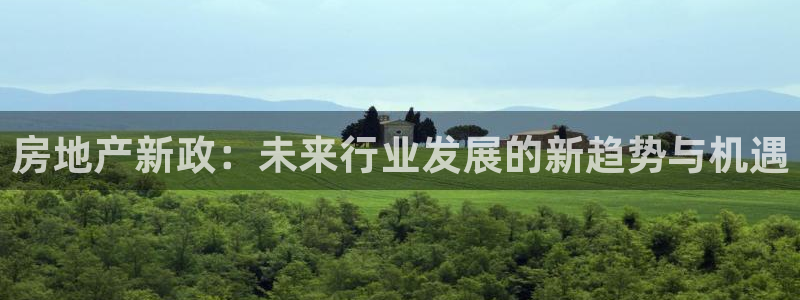 新宝5是什么样子的：房地产新政：未来行业发展的新趋势与机遇