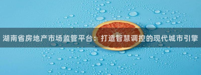 新宝5授权：湖南省房地产市场监管平台：打造智慧调控的现代城市