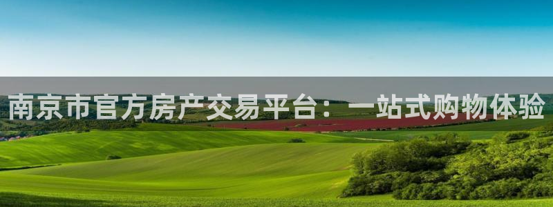 新宝5如何下载：南京市官方房产交易平台：一站式购物体验