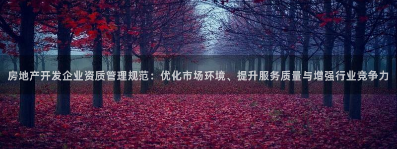 新宝h2O5O5O：房地产开发企业资质管理规范：优化市场环境