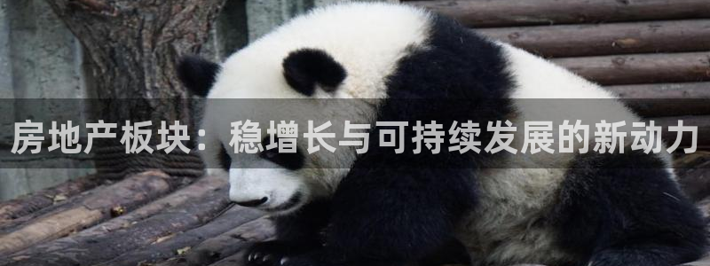 新宝5线路登录：房地产板块：稳增长与可持续发展的新动力