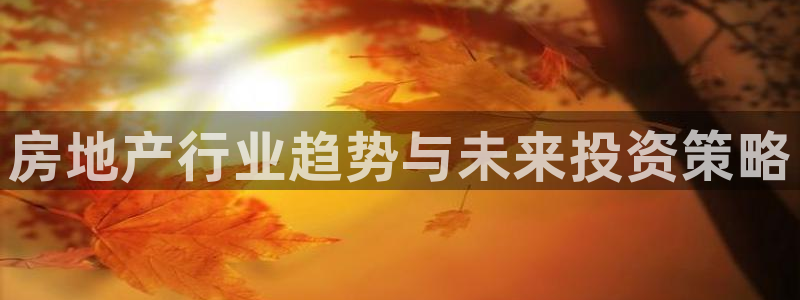 新宝5d：房地产行业趋势与未来投资策略