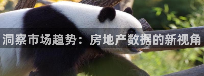 新宝5下载app：洞察市场趋势：房地产数据的新视角