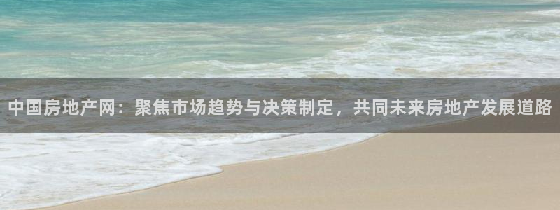 新宝5登录平台：中国房地产网：聚焦市场趋势与决策制定，共同未