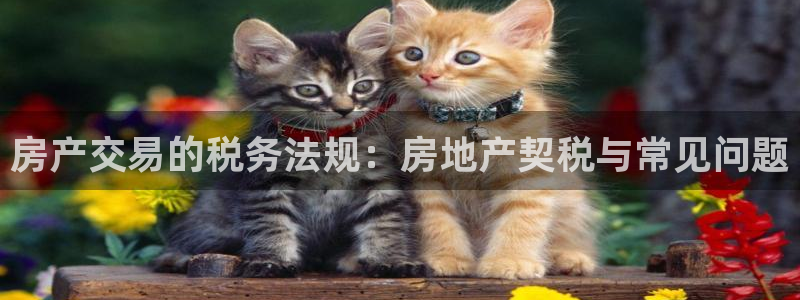 新宝5日740005蔻：房产交易的税务法规：房地产契税与常见