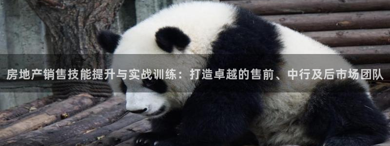 新宝5下载注册：房地产销售技能提升与实战训练：打造卓越的售前