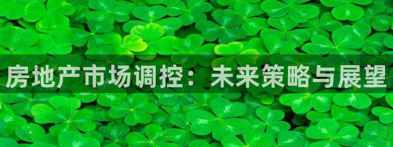 新宝5入口：房地产市场调控：未来策略与展望