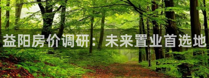 新宝5 测速：益阳房价调研：未来置业首选地