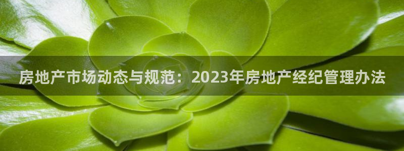 新宝5账号注册：房地产市场动态与规范：2023年房地产经纪管