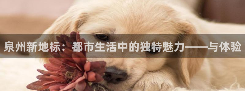 新宝5彩票是正规平台吗：泉州新地标：都市生活中的独特魅力——