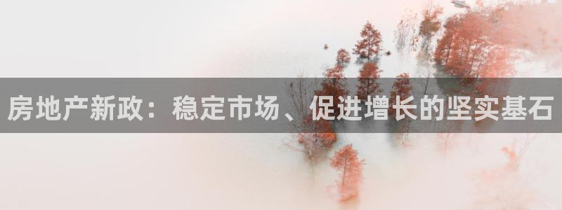 新宝j2O5O5O：房地产新政：稳定市场、促进增长的坚实基石