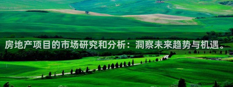 新宝 5测速：房地产项目的市场研究和分析：洞察未来趋势与机遇