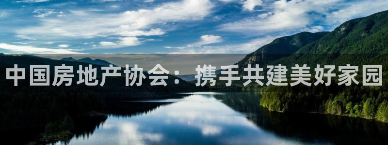 新宝5下载网址：中国房地产协会：携手共建美好家园