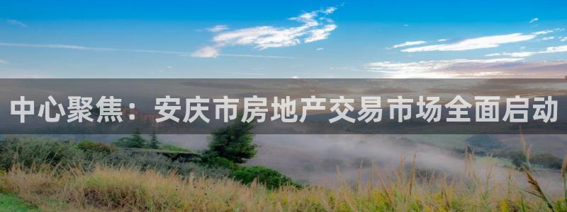 新宝5新宝6顺达：中心聚焦：安庆市房地产交易市场全面启动
