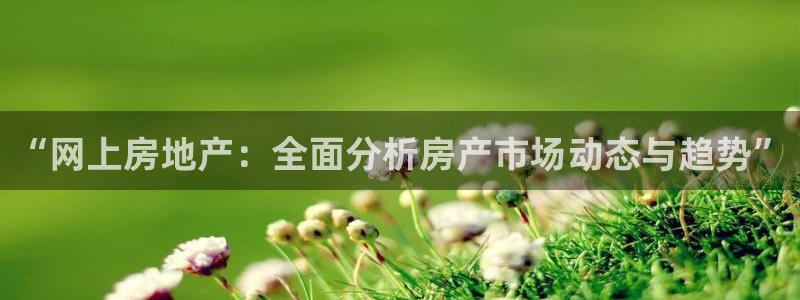 新宝5平台咋样：“网上房地产：全面分析房产市场动态与趋势”